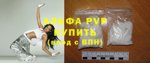 стафф Михайловск